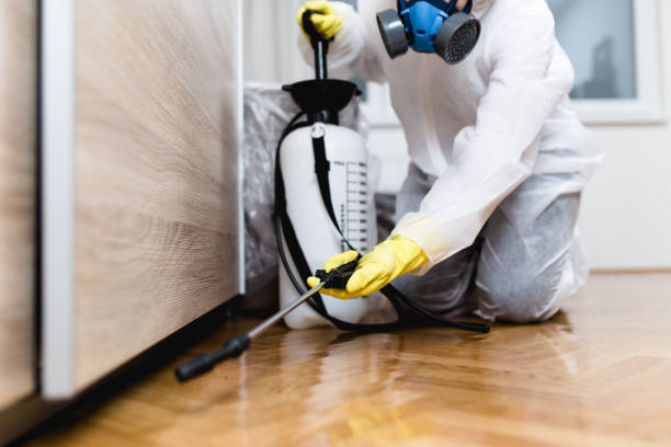 Best Affordable Pest Control Services  in Columbus, OH