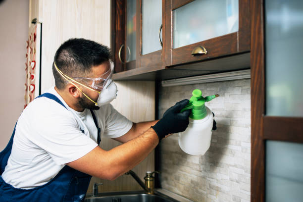 Best Pest Control Near Me  in Columbus, OH