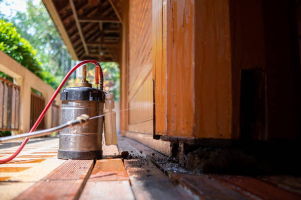 Best Mosquito Control Services  in Columbus, OH