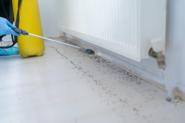 Best Pest Prevention Services  in Columbus, OH
